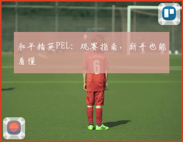 和平精英PEL：观赛指南，新手也能看懂