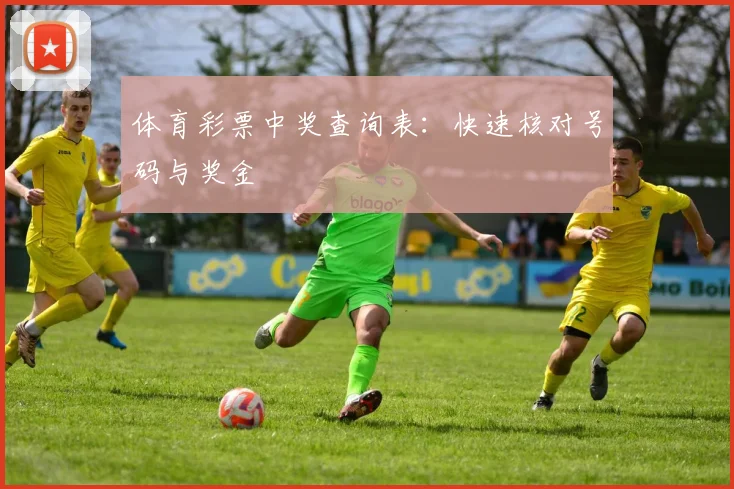 体育彩票中奖查询表：快速核对号码与奖金